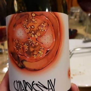Charpenay Rouge - Domaine de la Gapette - Victor Blondin 