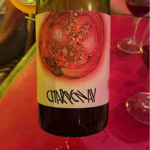 Charpenay Rouge - Domaine de la Gapette - Victor Blondin 