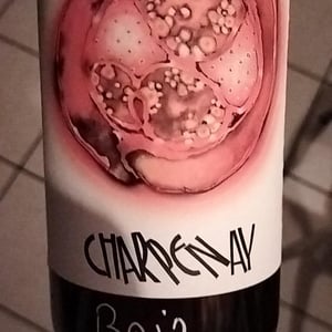Charpenay Rouge - Domaine de la Gapette - victor-blondin