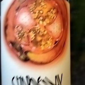 Charpenay Rouge - Domaine de la Gapette - victor-blondin