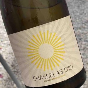 Chasselas d'Ici - Domaine Henrioud - Jean-Michel Henrioud 