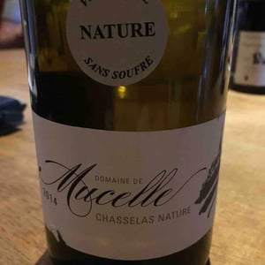 Chasselas Nature - Domaine De Mucelle - Frédéric PERICARD 