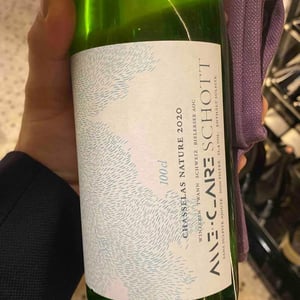Chasselas Nature - Schott Weine - Aroma der Landschaft - Anne-Claire Schott 