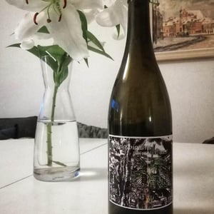 Chasselas Naturel - Les Vins Du Fab - fabien-henriot