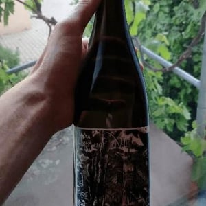 Chasselas Naturel - Les Vins Du Fab - Fabien Henriot 