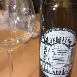 Chasselas Sauvage - Domaine des Champs-Lingots - Claude-Alain Chollet 