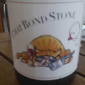 Chat Rond Stone - P-U-R (Production Unique Rebelle) - florian-looze