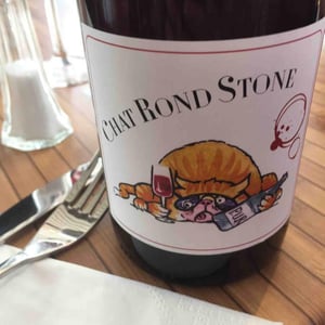 Chat Rond Stone 2016