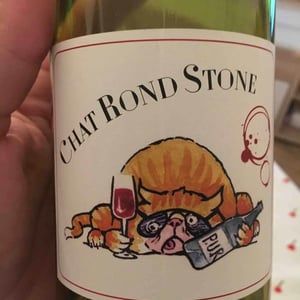 Chat Rond Stone - P-U-R (Production Unique Rebelle) - florian-looze
