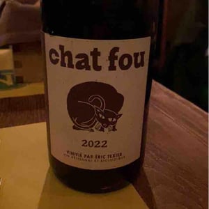 Domaine Eric Texier - Laurence et Eric Texier - Chat Fou