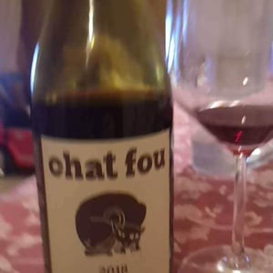 Domaine Eric Texier - Laurence et Eric Texier - Chat Fou