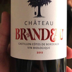 Chateau Brandeau - Chateau Brandeau - Julien Voogt 