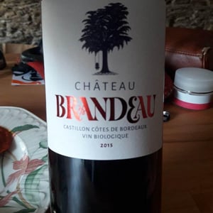 Chateau Brandeau - Chateau Brandeau - julien-voogt