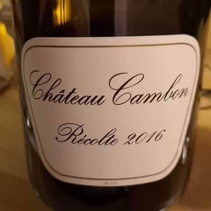 Château Cambon - Château Cambon - alexandre-iwasuila-marie-lapierre-jean-claude-chanudet