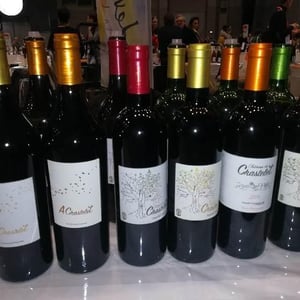 Château de Chastelet 2013