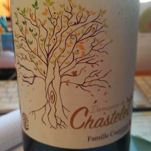 Domaine De Chastelet 2015 IGP Vin De Pays De L Atlantique 2015