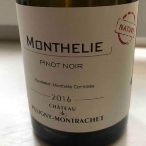 Château De Puligny Montrachet - Château De Puligny - chateau-de-puligny