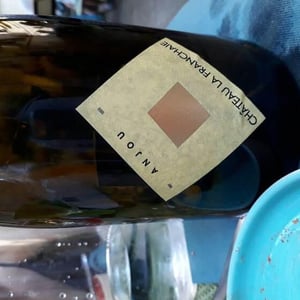 Chateau La Franchaie - Loïc Mahé - Loïc Mahé 
