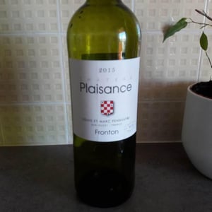Château Plaisance - Domaine Plaisance - Penavayre - Louis, Marc et Thibaut Penavayre 