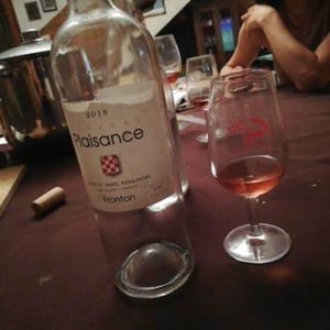 Château Plaisance - Domaine Plaisance - Penavayre - louis-marc-et-thibaut-penavayre