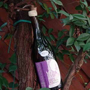 Chateau Renard - Domaine de Saint Pierre - fabrice-dodane
