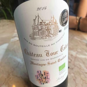 Château Tour Calon - Lateyron - lateyron
