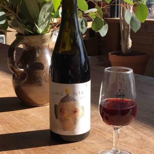 Chato Pqta 2016 - Sistema Vinari - eloi-cedo-perello
