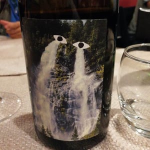 Chato Pqta 2016 - Sistema Vinari - eloi-cedo-perello