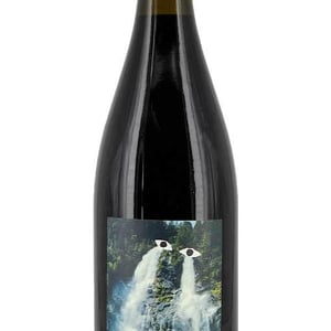 Chato Pqta - Sistema Vinari - eloi-cedo-perello -2017