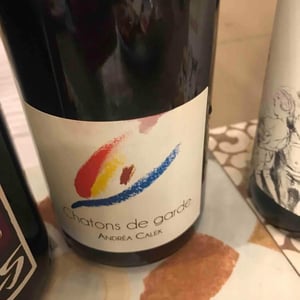 Chatons de Garde - Andrea Calek - andrea-calek-et-stephana-nicolescu