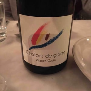 Chatons de Garde - Andrea Calek - andrea-calek-et-stephana-nicolescu