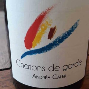 Chatons de Garde - Andrea Calek - andrea-calek-et-stephana-nicolescu