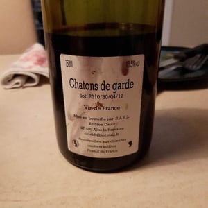 Chatons de Garde - Andrea Calek - andrea-calek-et-stephana-nicolescu