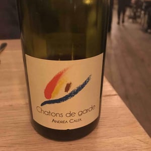 Chatons de Garde - Andrea Calek - andrea-calek-et-stephana-nicolescu