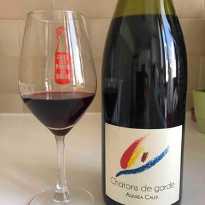 Andrea Calek - Andrea Calek et Stephana Nicolescu - Chatons de Garde