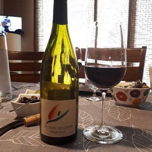Andrea Calek - Andrea Calek et Stephana Nicolescu - Chatons de Garde