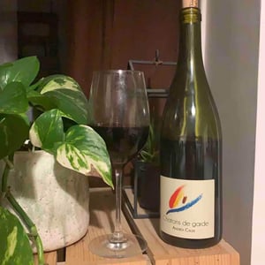 Andrea Calek - Andrea Calek et Stephana Nicolescu - Chatons de Garde