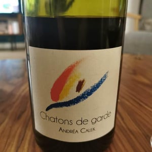 Chatons de Garde - Andrea Calek - andrea-calek-et-stephana-nicolescu