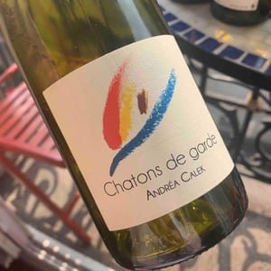 Andrea Calek - Andrea Calek et Stephana Nicolescu - Chatons de Garde