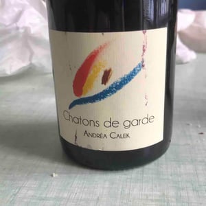 Chatons de Garde - Andrea Calek - andrea-calek-et-stephana-nicolescu