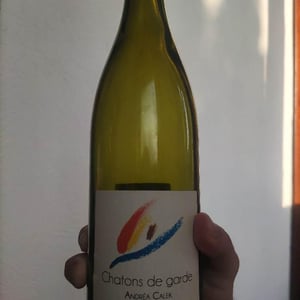 Chatons de Garde - Andrea Calek - Andrea Calek et Stephana Nicolescu 