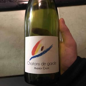 Chatons de Garde - Andrea Calek - andrea-calek-et-stephana-nicolescu
