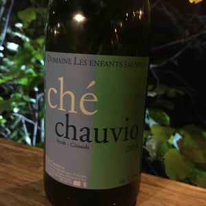 Ché Chauvio - Les Enfants Sauvages - nikolaus-caroline-bantlin
