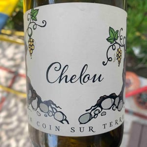 Un Coin Sur Terre - Edouard Sentex - Chelou