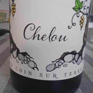 Un Coin Sur Terre - Edouard Sentex - Chelou