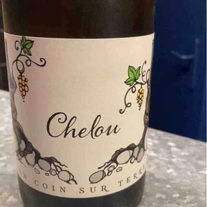 Un Coin Sur Terre - Edouard Sentex - Chelou