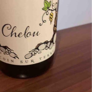 Chelou - Un Coin Sur Terre - edouard-sentex