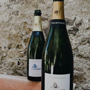 Chemin des Terroirs Brut & Champagne Brut Tradition - Champagne De Sousa - erick-de-sousa