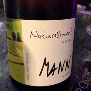Chemin du soleil - Domaine Mann - Vignoble Des 3 Terres - sebastien-jean-louis-fabienne-mann