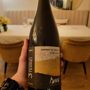 Chemin du soleil - Domaine Mann - Vignoble Des 3 Terres - sebastien-jean-louis-fabienne-mann